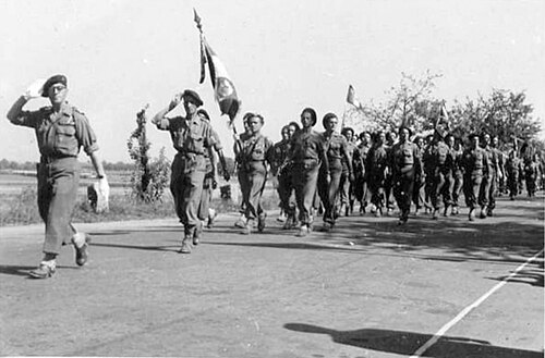 French Forces in Germany